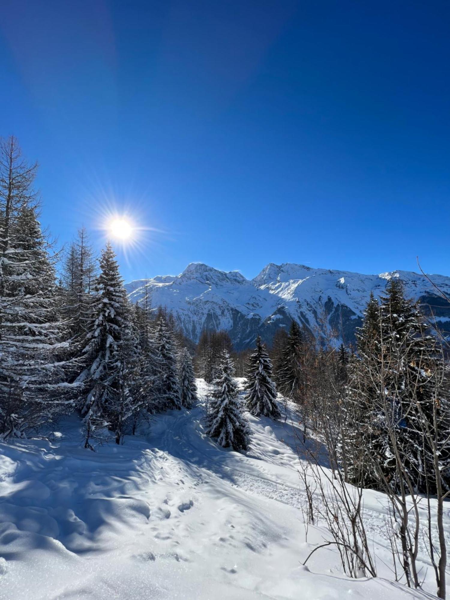 Chalet Altus Sainte-Foy-Tarentaise Exterior photo